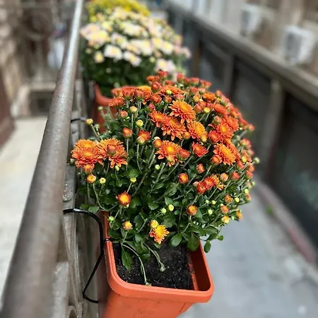 Appartamento 38,velasquez *