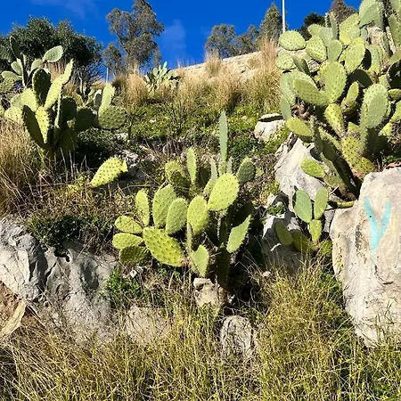 38,velasquez Palermo
